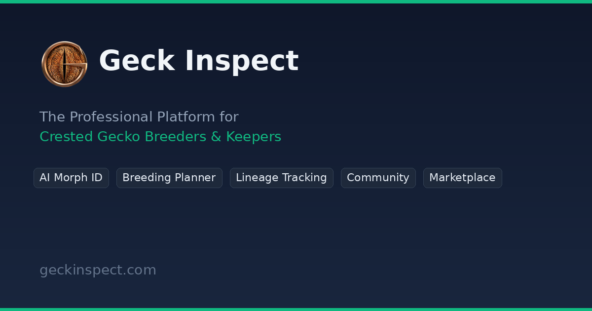 Geck Inspect website artwork